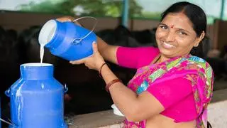 Fresh start: A rechargeable, portable chilling-cum-storage unit can prove a game changer for small-time dairy farmers in rural areas Fresh start: A rechargeable, portable chilling-cum-storage unit can prove a game changer for small-time dairy farmers in rural areas