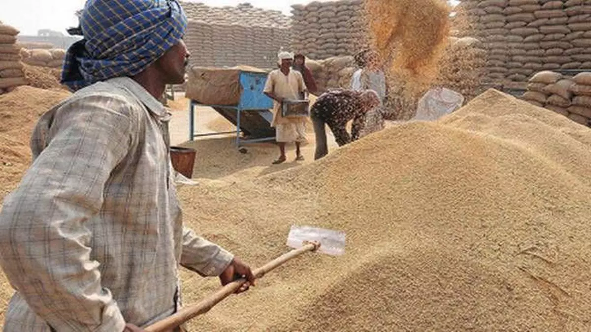 Rice procurement reaches 238.8 lakh tonnes - The Hindu BusinessLine