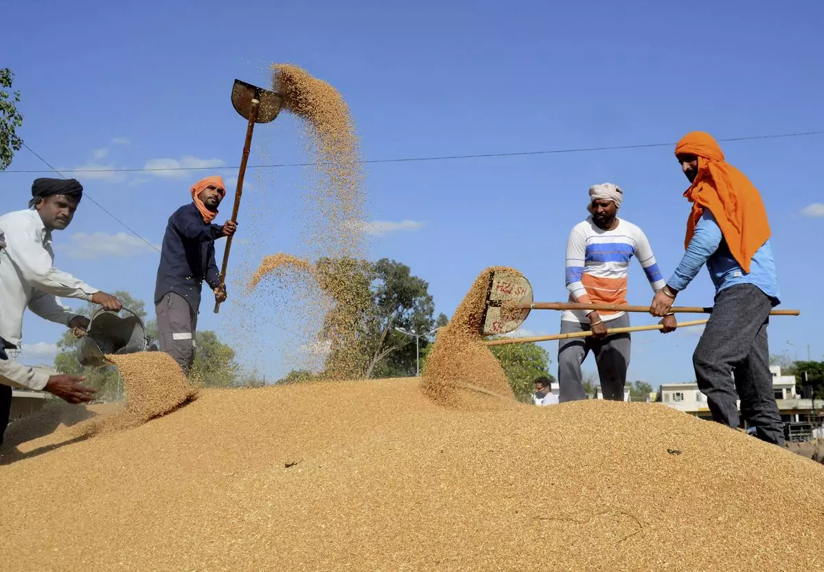 The USDA said India’s wheat exports will be helped by a record wheat crop of 109.5 mt this season.