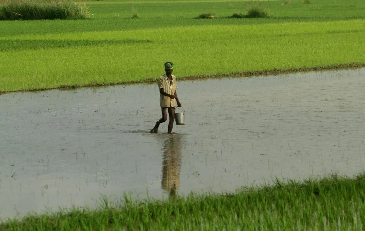 thehindubusinessline.com - Climate law and agriculture: Building a legally enforceable path to sustainable, low-emission farming