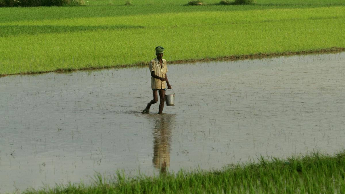 Climate law and agriculture: Building a legally enforceable path to sustainable, low-emission farming