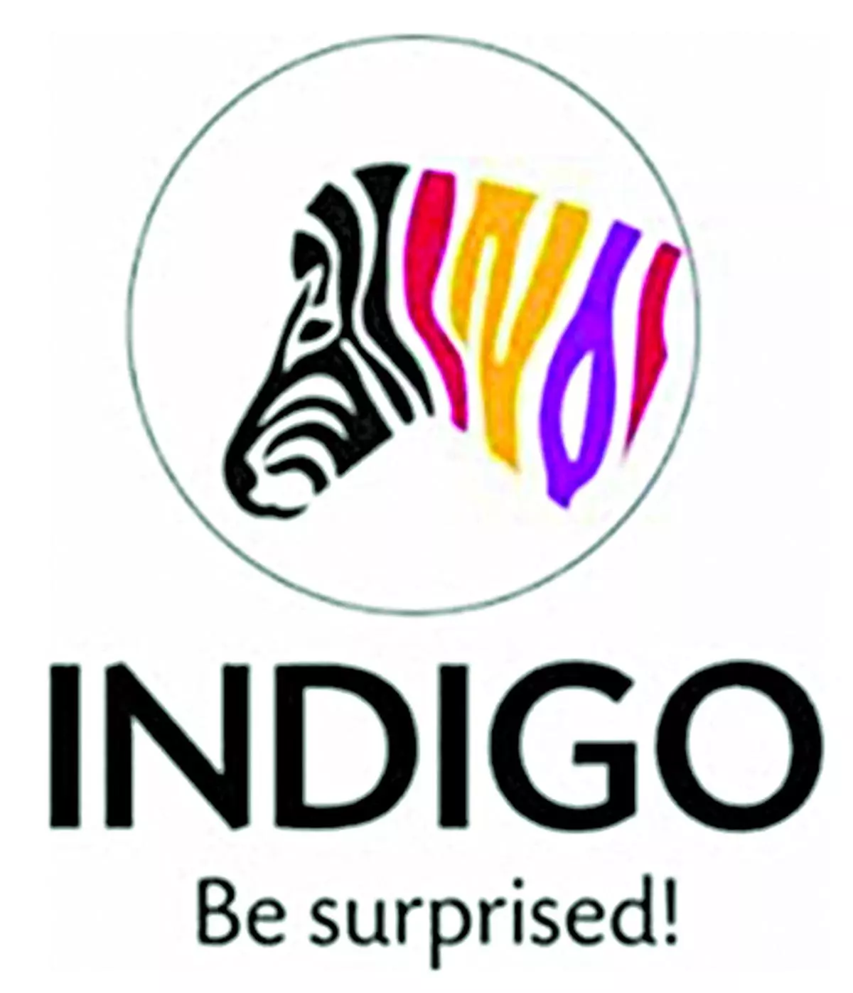 Indigo Paints IPO. Is it worth Subscribing? -