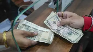 Reserve Bank of India’s (RBI) pro-growth stance is likely to attract renewed equity inflows, says BofA Reserve Bank of India’s (RBI) pro-growth stance is likely to attract renewed equity inflows, says BofA