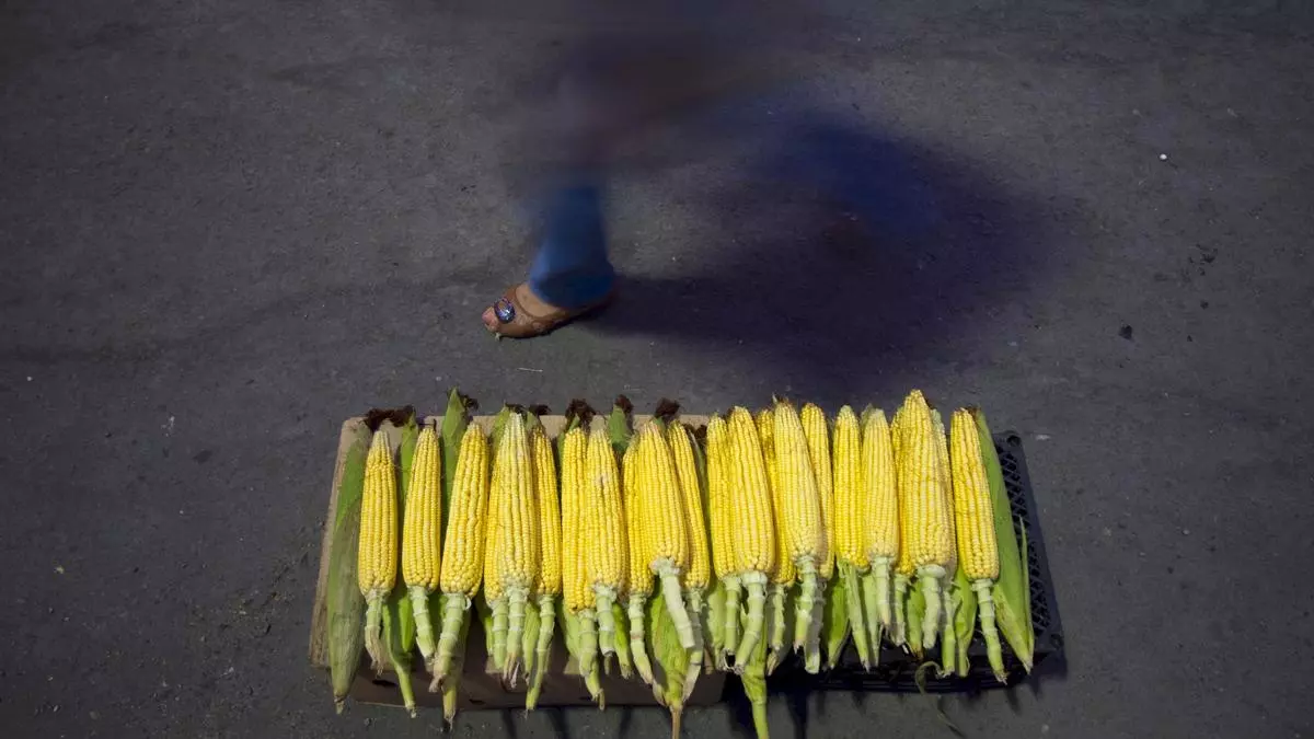 Cargill inaugurates new corn milling plant in Gwalior