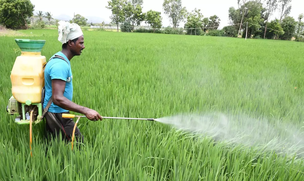 


The demand for chemical pesticides from across the country has come down from 73,244 tonnes in 2018-19 to 70,668 tonnes in 2020-21