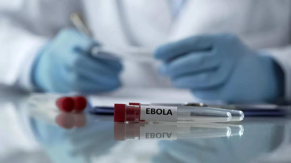 thehindubusinessline.com - Airlines seek digital platform for Ebola self declaration