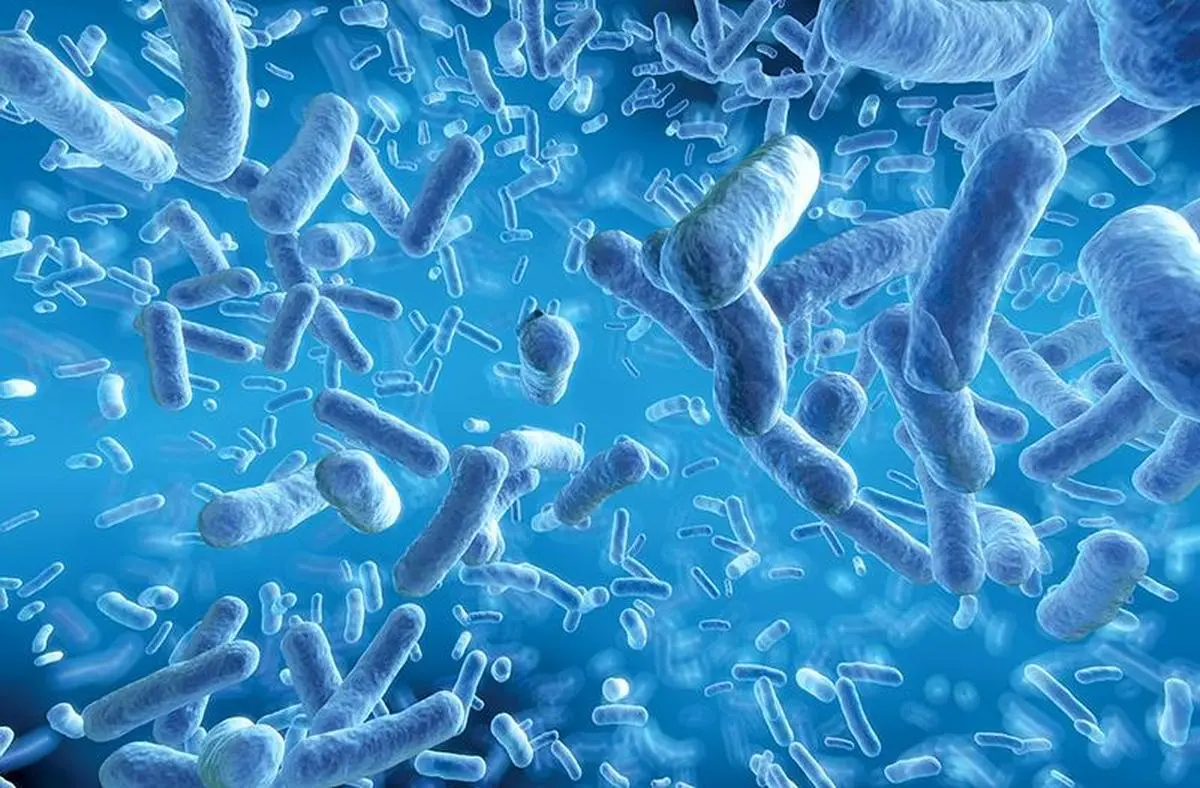 thehindubusinessline.com - Micro-mining for critical rare earth minerals