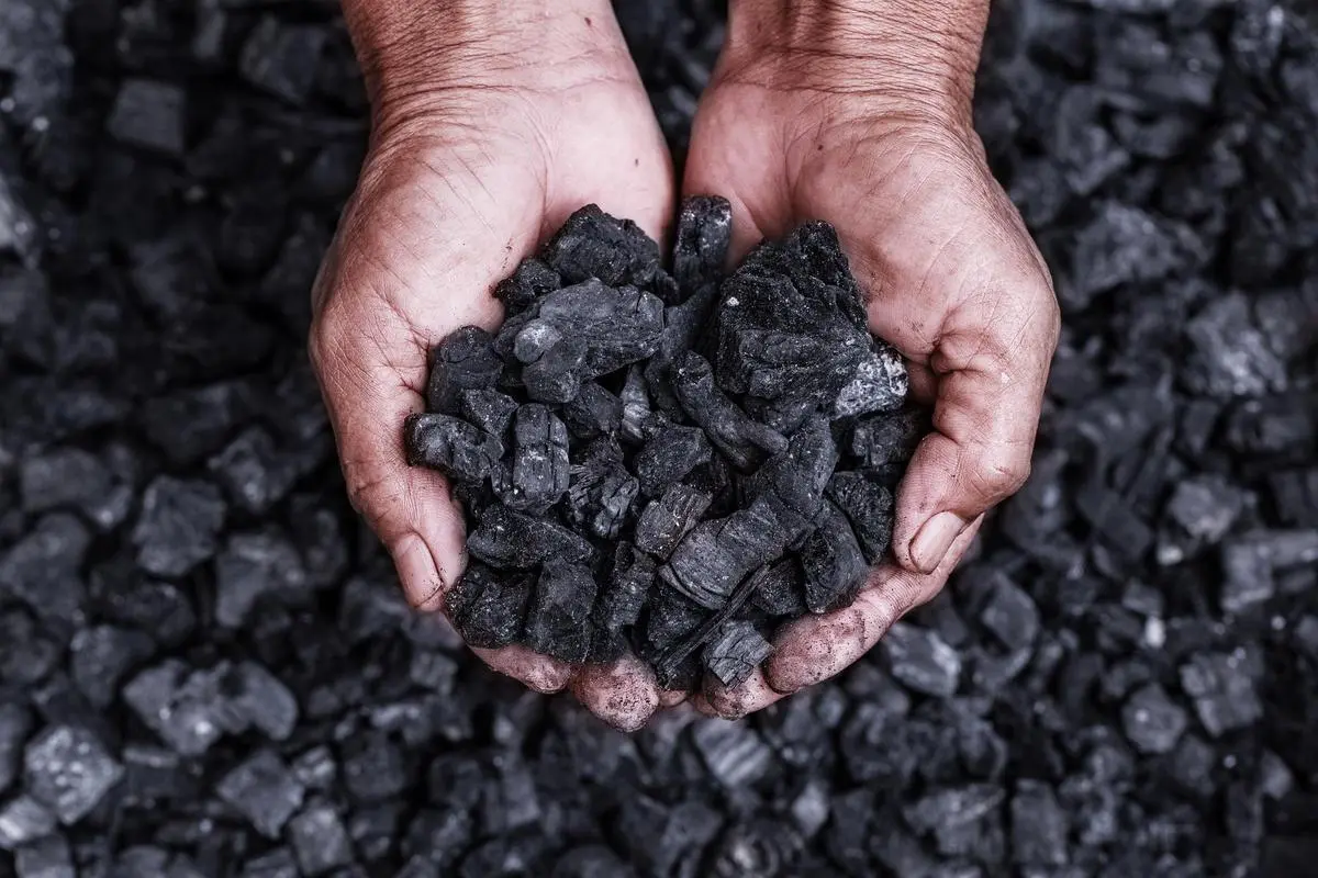 thehindubusinessline.com - Thermal coal imports hit four-month high in October