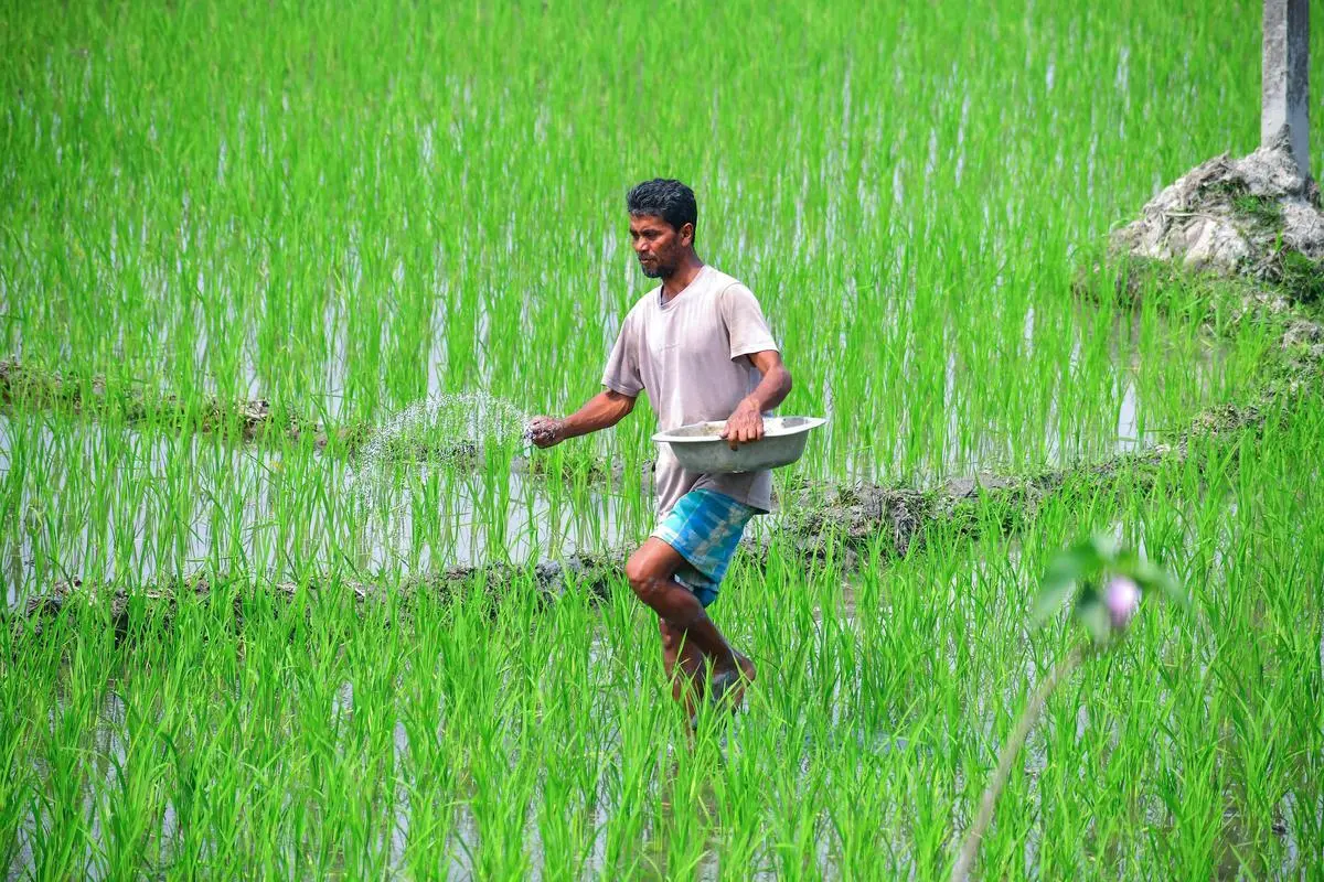 thehindubusinessline.com - KiVi, ASMS to roll out agri-fintech solutions in Maharashtra