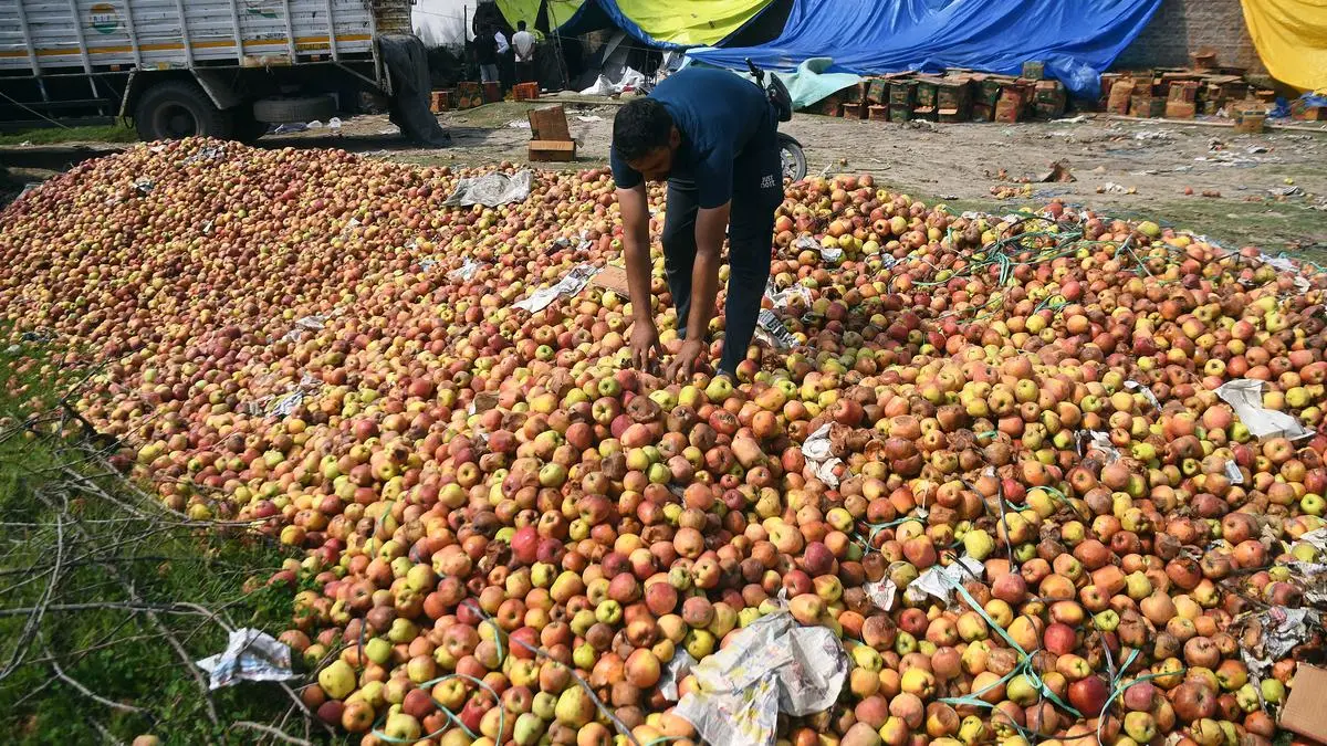 Highway disruptions push Kashmir apple crop into CA storages, raising fears of price crash