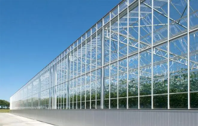 A view of greenhouse in Netherlands