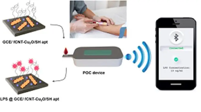 Portable endotoxin detection device