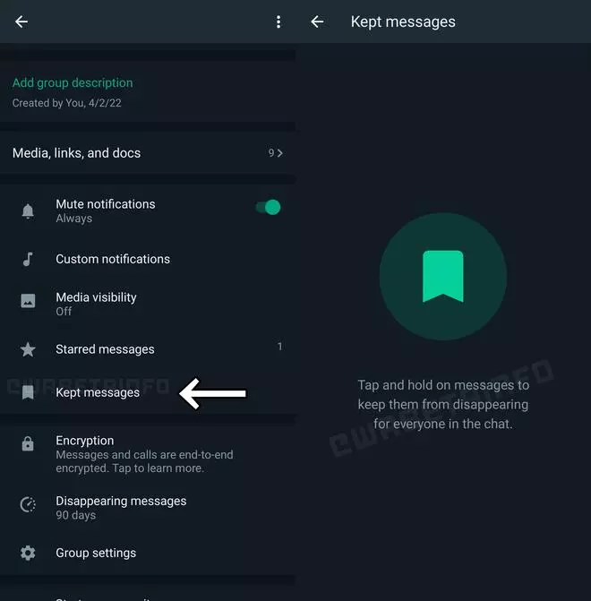 WhatsApp kept messages section within chats