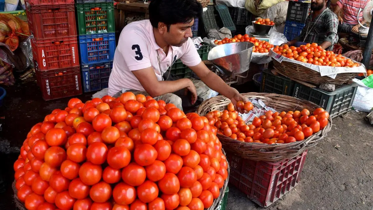 Technology can ease pain points for tomato farmers, help them earn more