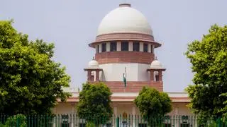 A two-judge bench of the top court had on August 11 directed authorities in Delhi-National Capital Region (NCR) to start picking up stray dogs from all localities “at the earliest” and relocate the animals to dog shelters. A two-judge bench of the top court had on August 11 directed authorities in Delhi-National Capital Region (NCR) to start picking up stray dogs from all localities “at the earliest” and relocate the animals to dog shelters.