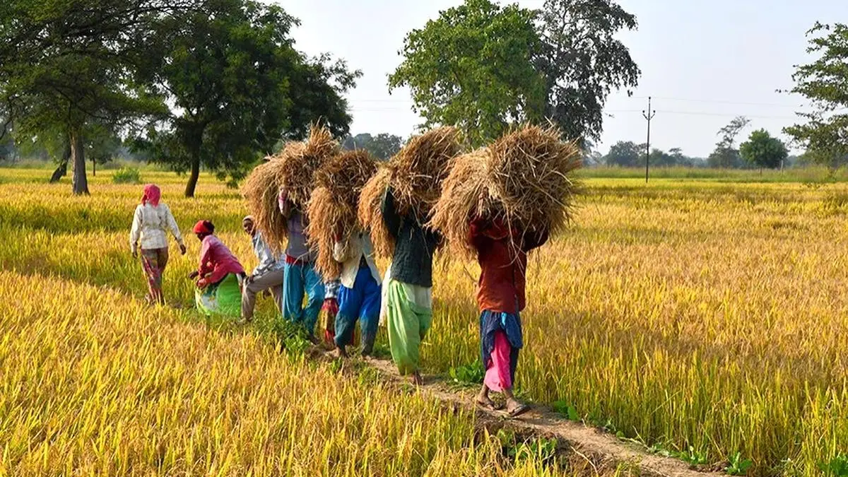 Institutional credit to agriculture hit all-time high of ₹25.10 lakh cr in FY24