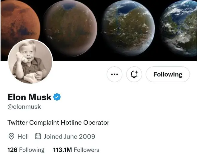 Elon Musk profile on Twitter Elon Musk profile on Twitter