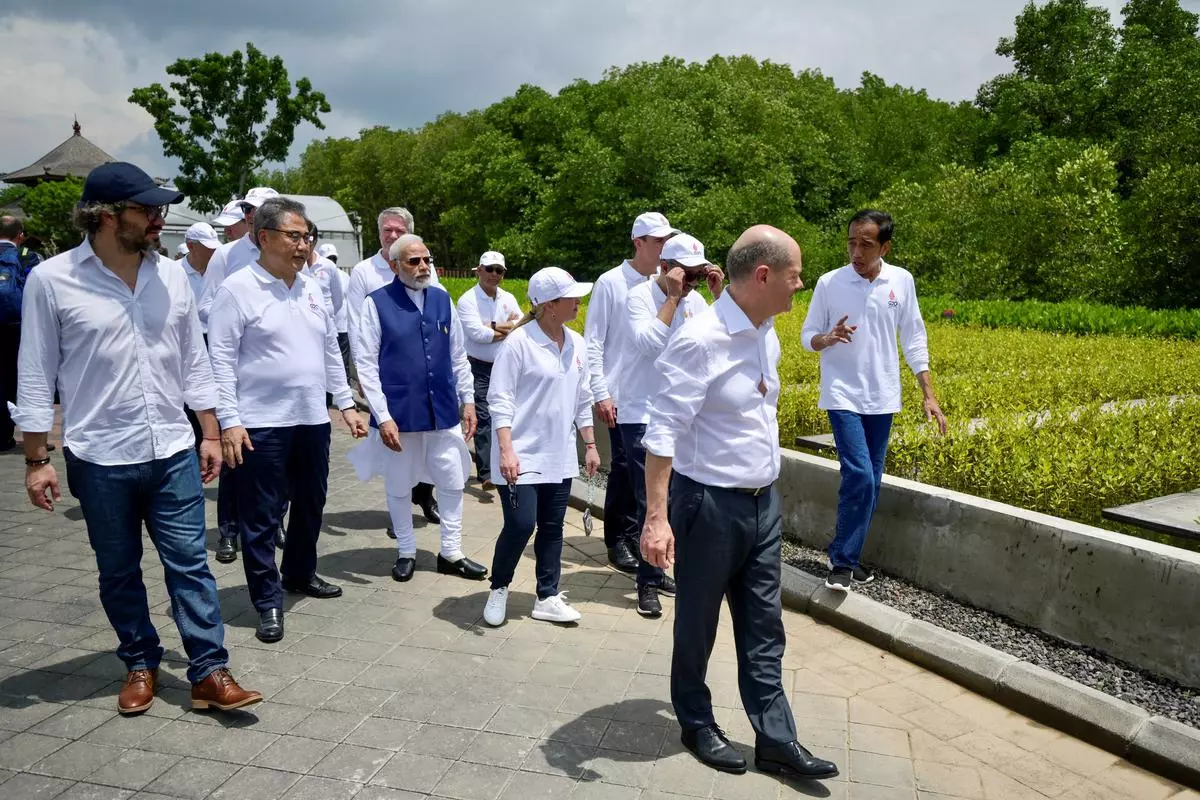Prime Minister Narendra Modi, Indonesian President Joko Widodo, German Chancellor Olaf Scholz and other leaders take a walk through mangrove seeding on the sidelines of the G20 summit meeting in Bali on Wednesday