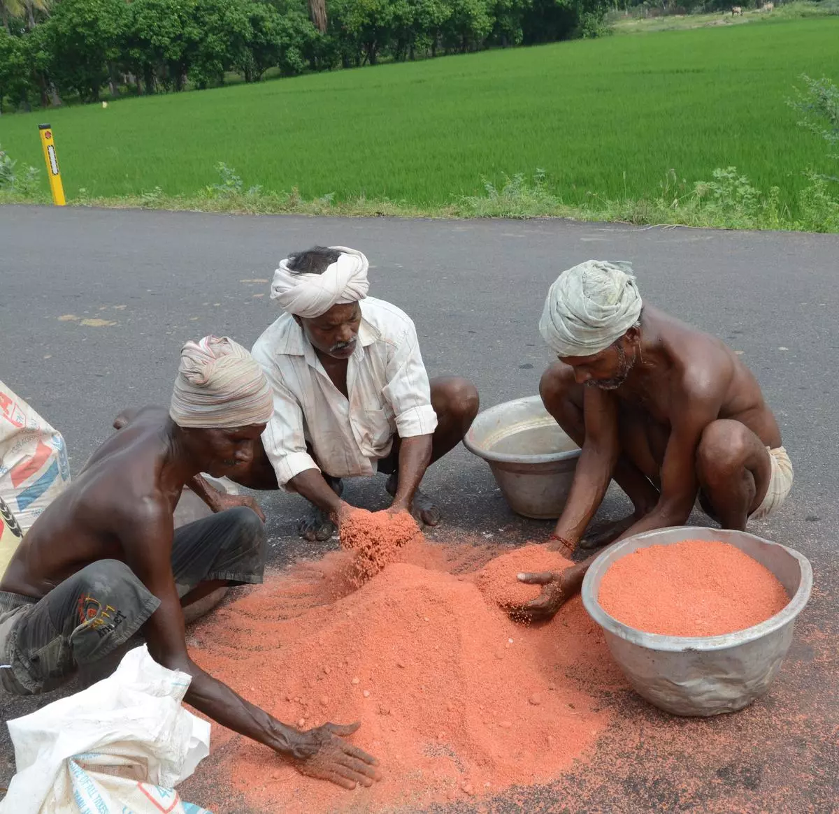 Retail prices of potash are the highest among the all fertilisers in the recent subsidy announced by the Centre for the kharif season