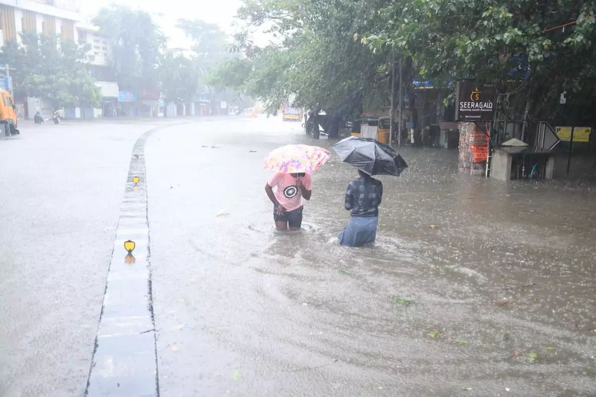 History repeats: Life in Chennai and suburbs paralysed as rain lashes city in last 12 hours - The Hindu BusinessLine