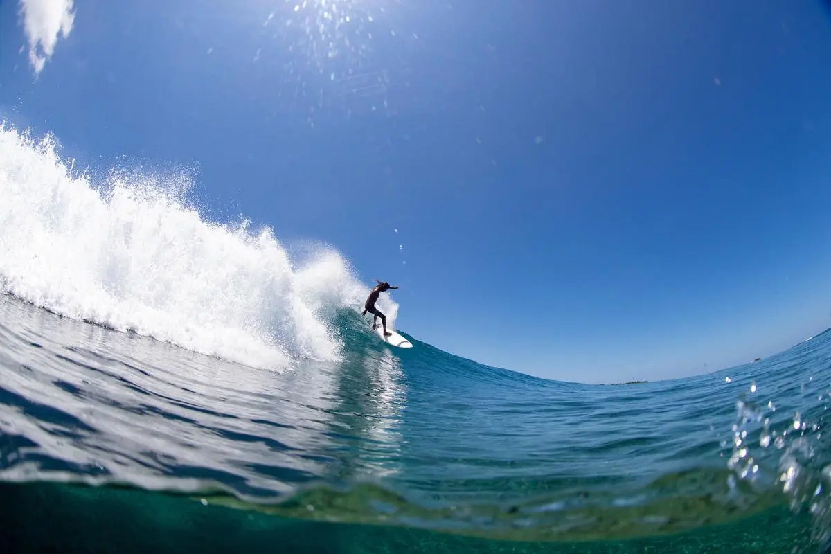 thehindubusinessline.com - Riding Volatile Market Waves