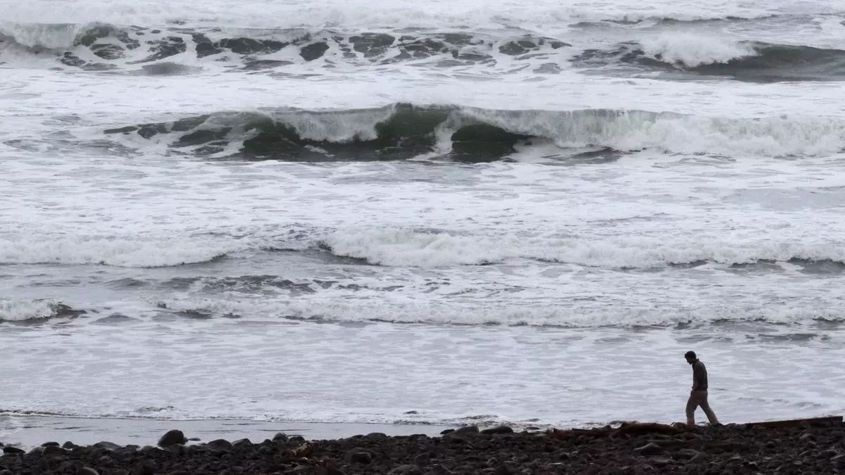 Pequeñas olas de tsunami llegan a las costas de islas remotas de Japón