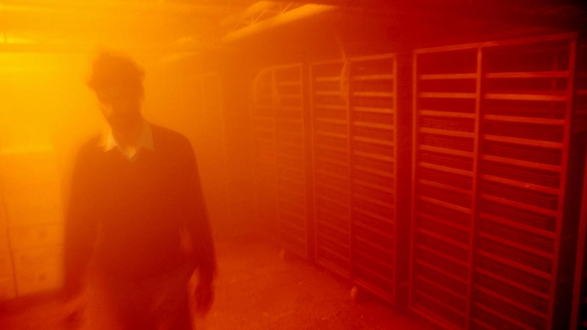 Krishival Foods hits 15,000 deep freezer mark as Melt N Mellow bets big on cold chain