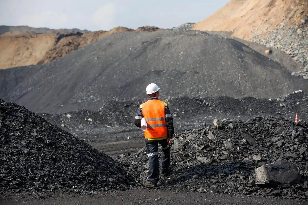 thehindubusinessline.com - Power sector may consume 830-835 Mn Tons of coal in FY27