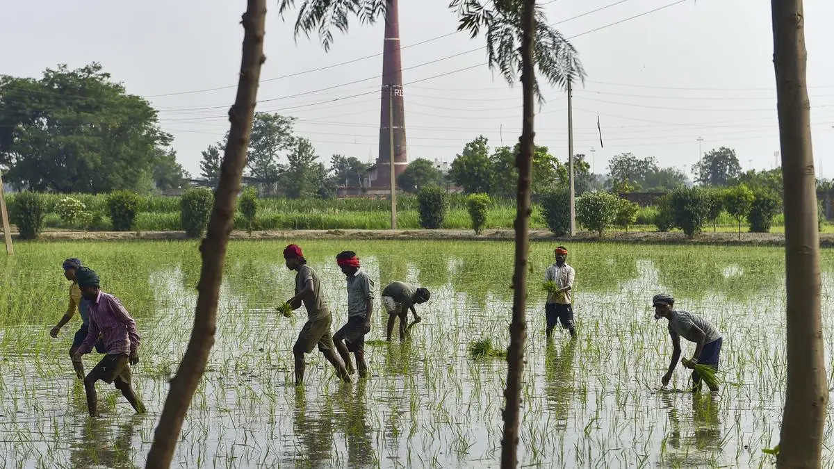 Building climate-resilient farms: How AI, predictive analytics can help tackle pest attacks, weather extremes
