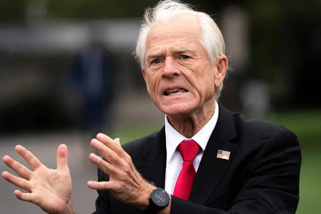 White House trade advisor Peter Navarro 