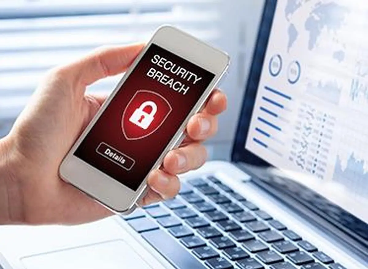 thehindubusinessline.com - Remedies for digital payment frauds
