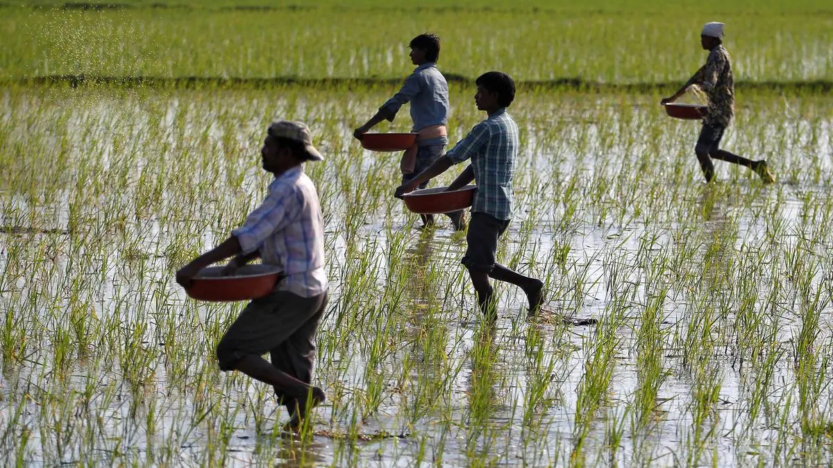 China+1 strategy in action: Speciality fertilisers and India’s leap