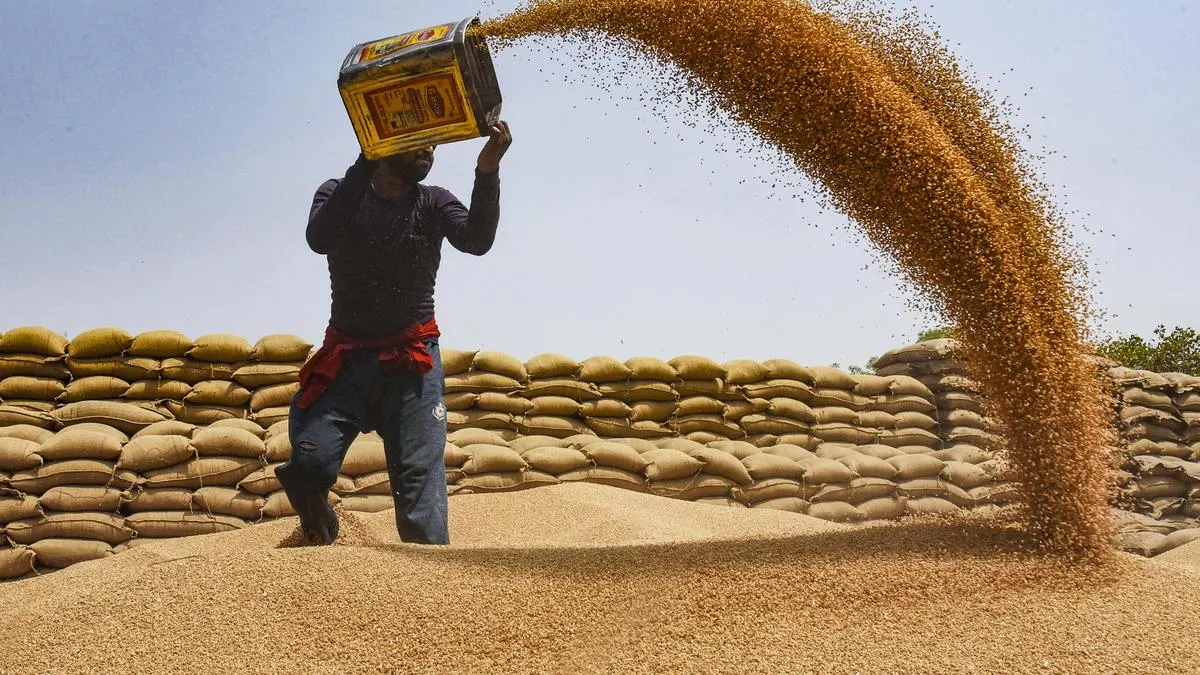 Commerce Ministry notifies decision to allow exports of 25 lakh tonne additional wheat