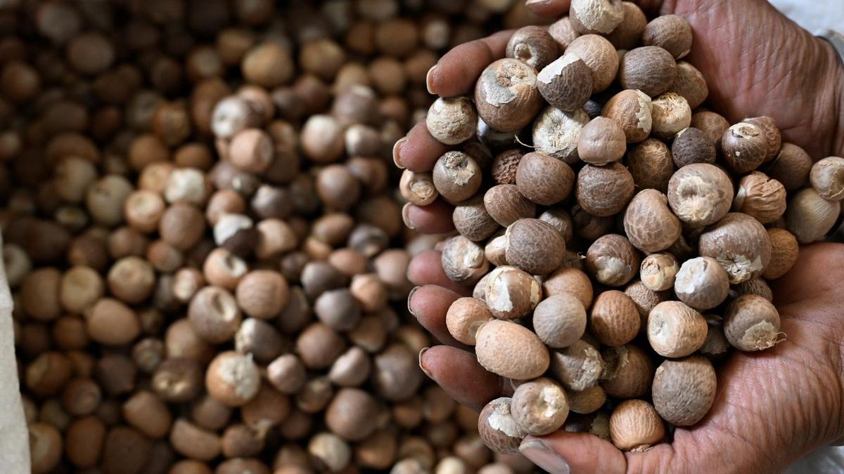 Rise in copper sulphate prices increase cultivation costs for coffee, arecanut growers