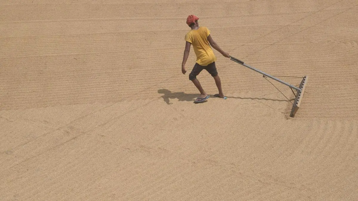 Govt plans to redirect 90 lakh tonne FCI broken rice to ethanol industry from next year: Food Sec