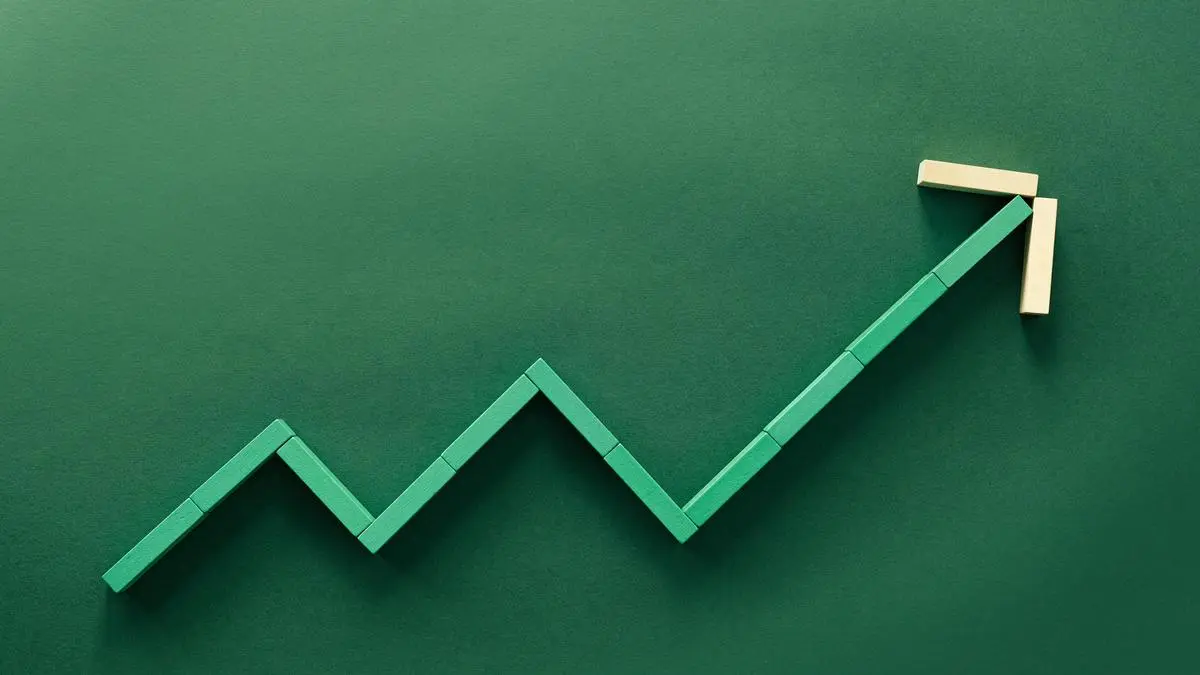 TSF Investments consolidated net profit up 28%