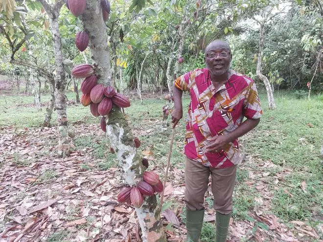 A cocoa farmer at a plantation near Abidjan (Ivory Coast) explaining the production challenges at his farm yard. 