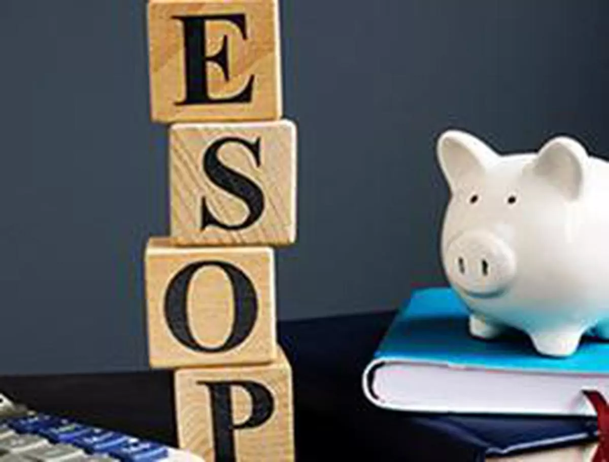 ESOP employee stock ownership plans. Cubes with letters.