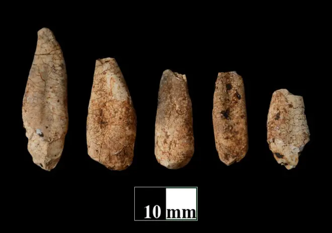 Human skeletal remains dating back to first century BCE. Source: CCMB Human skeletal remains dating back to first century BCE. Source: CCMB