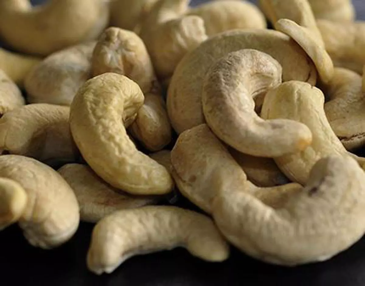 Import duty on cashew nuts in clearance india