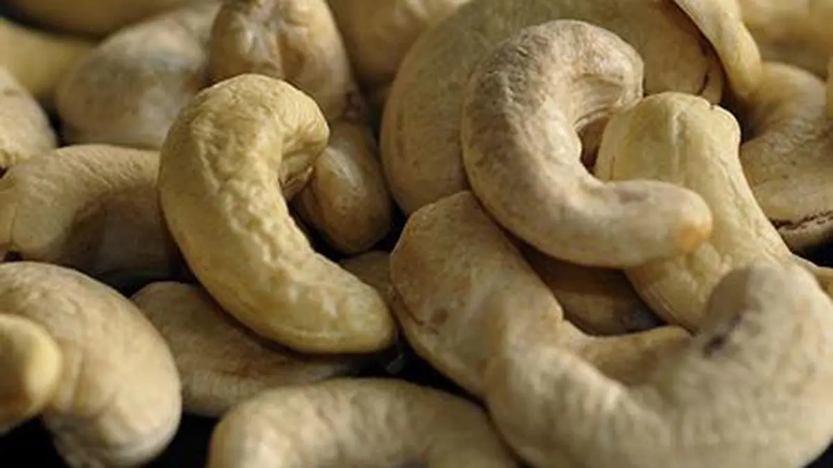 Import duty on raw on sale cashew nut in india