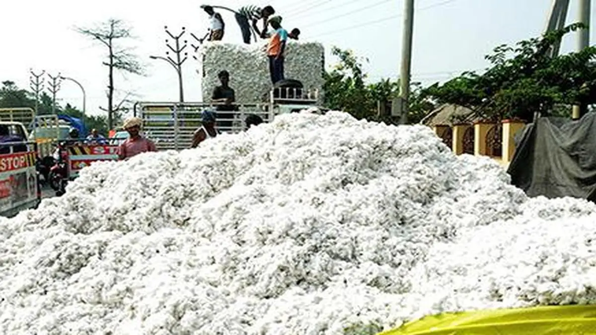 BSE cotton futures contract gets a rousing start The Hindu BusinessLine