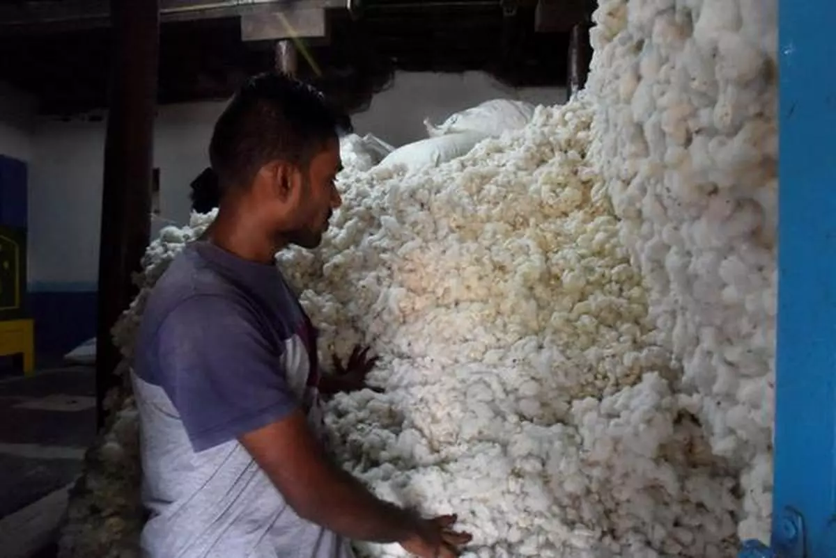 ANANTAPUR ANDHRA PRADESH 27/05/2020 Cotton from the fields stacked in the house of a farmer B. Suryanarayana Reddy at Peddavadaguru village in Anantapur district. - Photo: RVS Prasad /THE HINDU