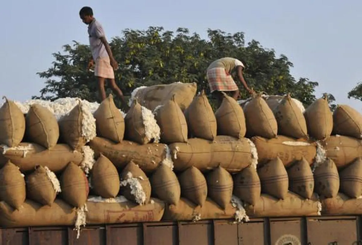 MCX launches cotton futures, records volume of 9,600 bales The Hindu BusinessLine