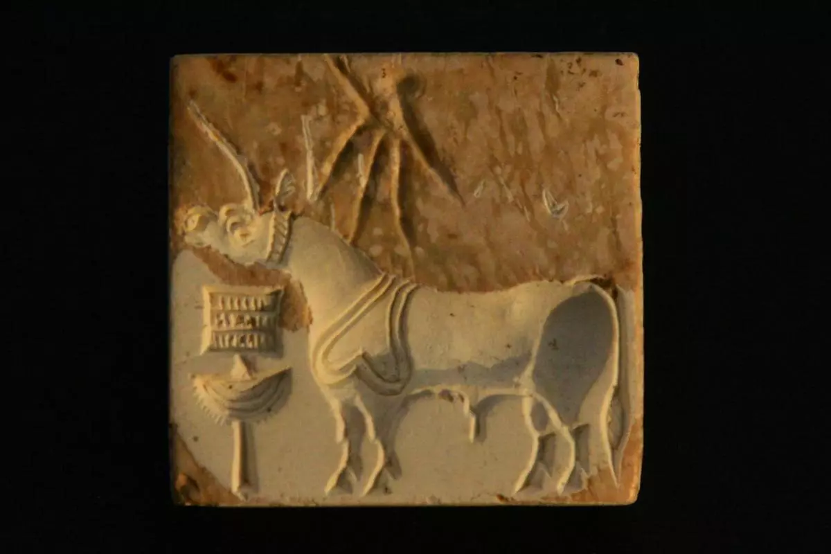 A seal with animal motif discovered at an archaeological site near the international border between Punjab and Rajasthan. The site is situated a couple of kilometers from Binjor village along the Ghaggar river valley.