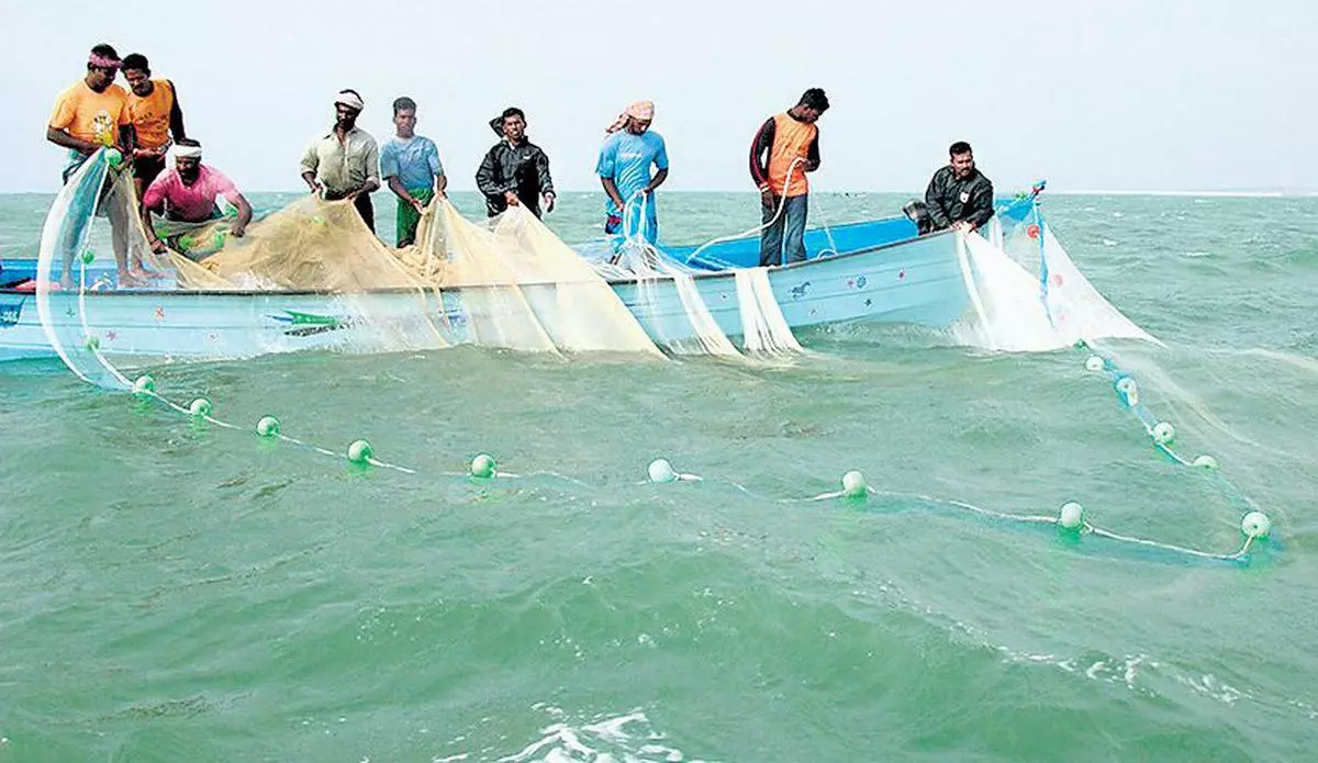 Fishermen seek ban on purse seine nets along Konkan coast - The Hindu  BusinessLine