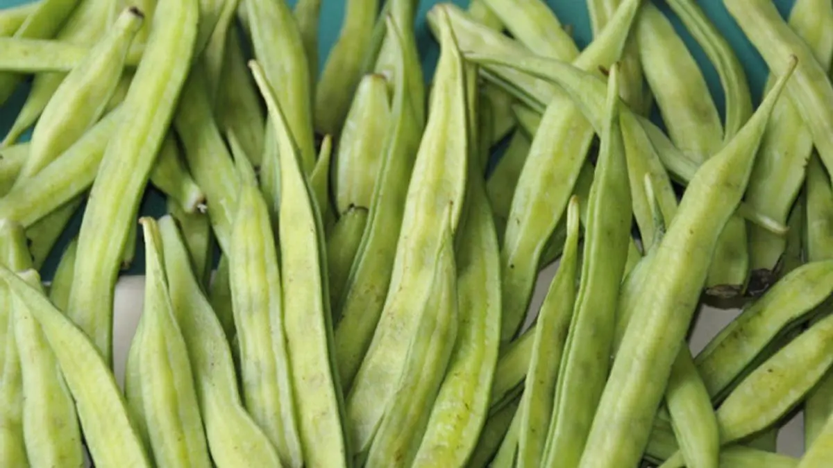 Commerce Ministry arms differ on guar gum export data The Hindu