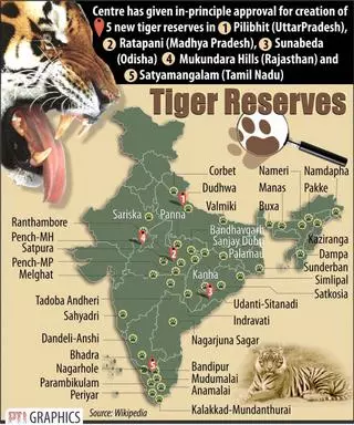 Monitoring tigers scientifically in Srisailam reserve - The Hindu  BusinessLine