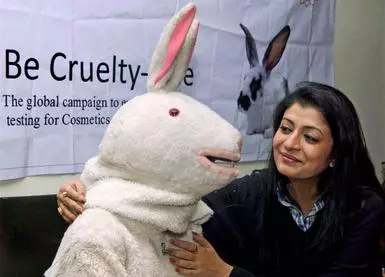 Put India on cruelty-free cosmetics map: Debasree Roy - The Hindu  BusinessLine