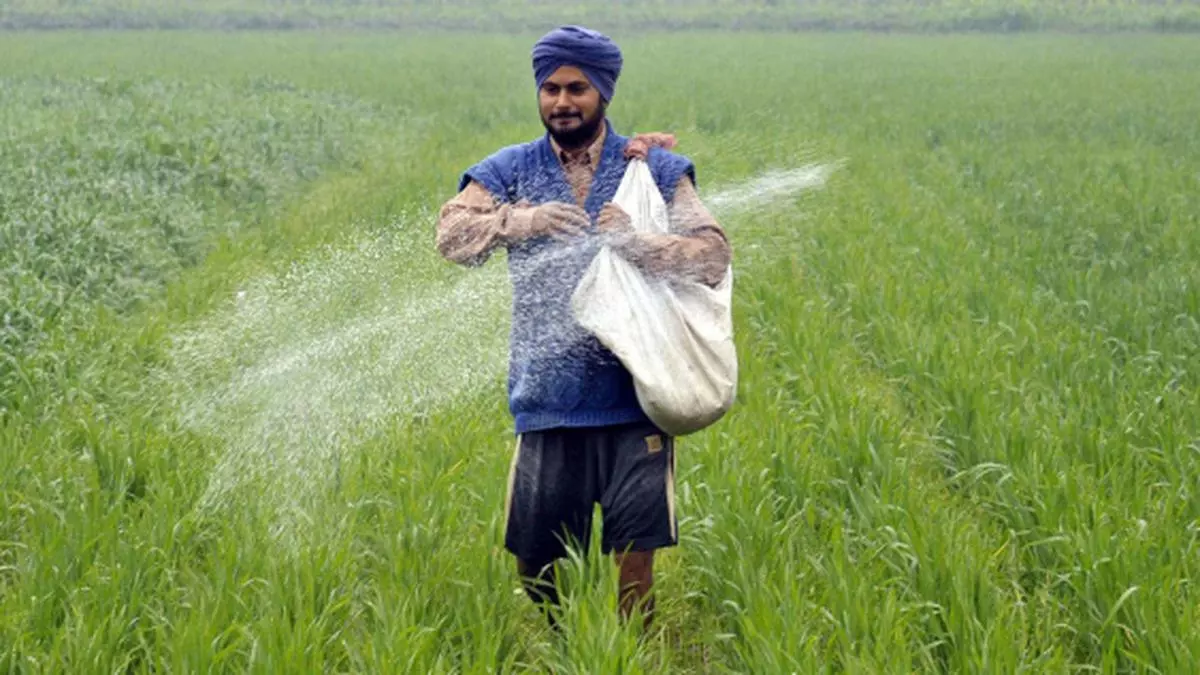 Fertiliser Subsidy Fix It Right The Hindu Businessline